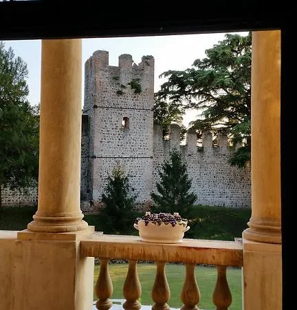Vigna Contarena Vila