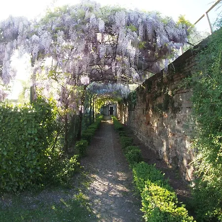 Vigna Contarena